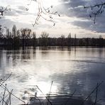 Frühling am Kreuzteich