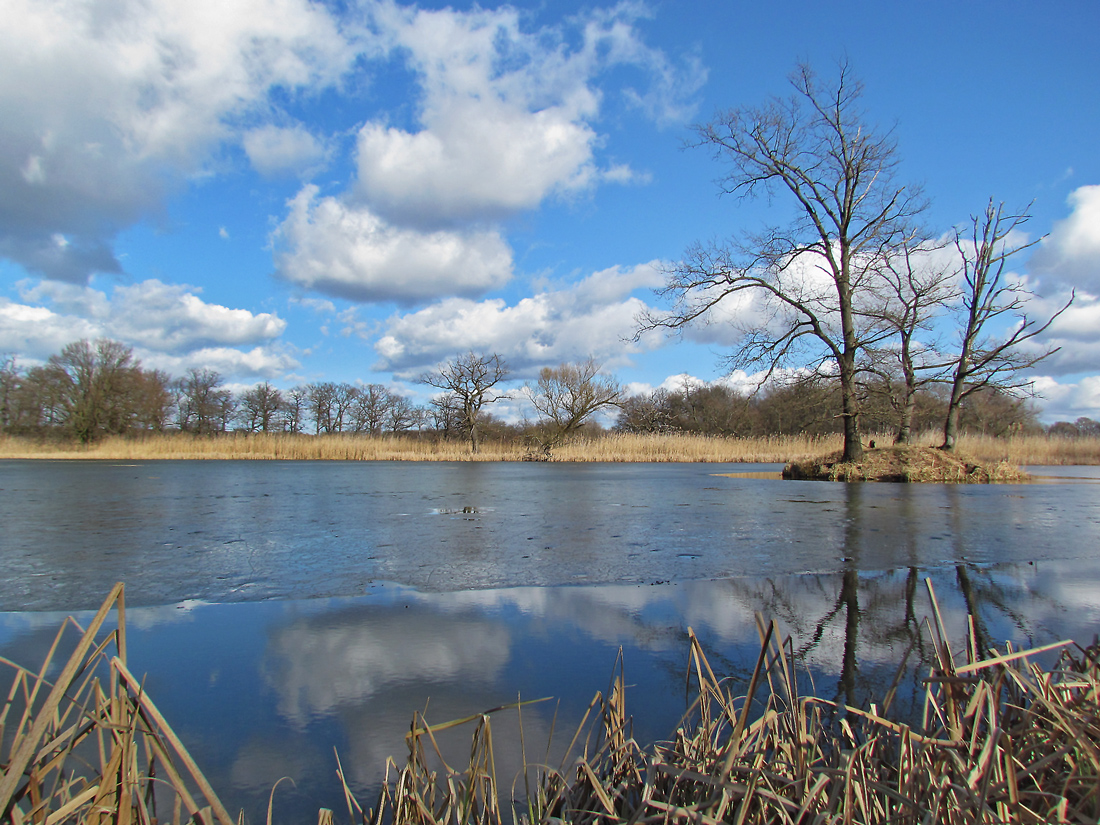 FRÜHLING AM KÜHNAUER SEE