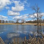 FRÜHLING AM KÜHNAUER SEE