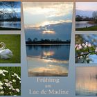 Frühling am Lac de Madine