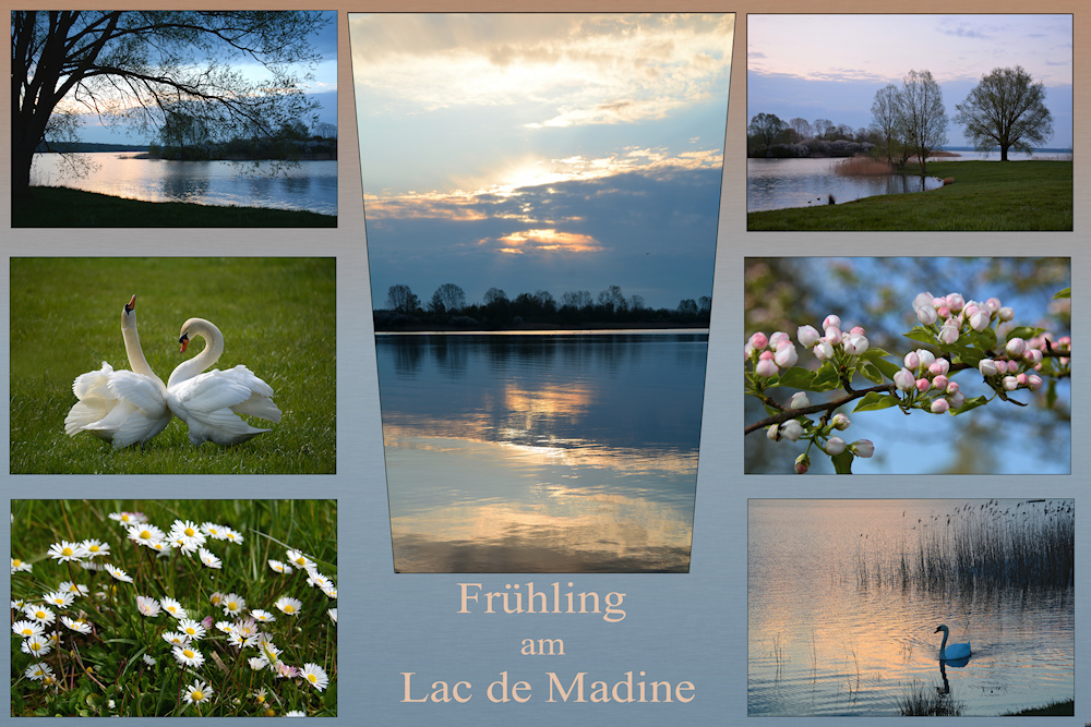 Frühling am Lac de Madine