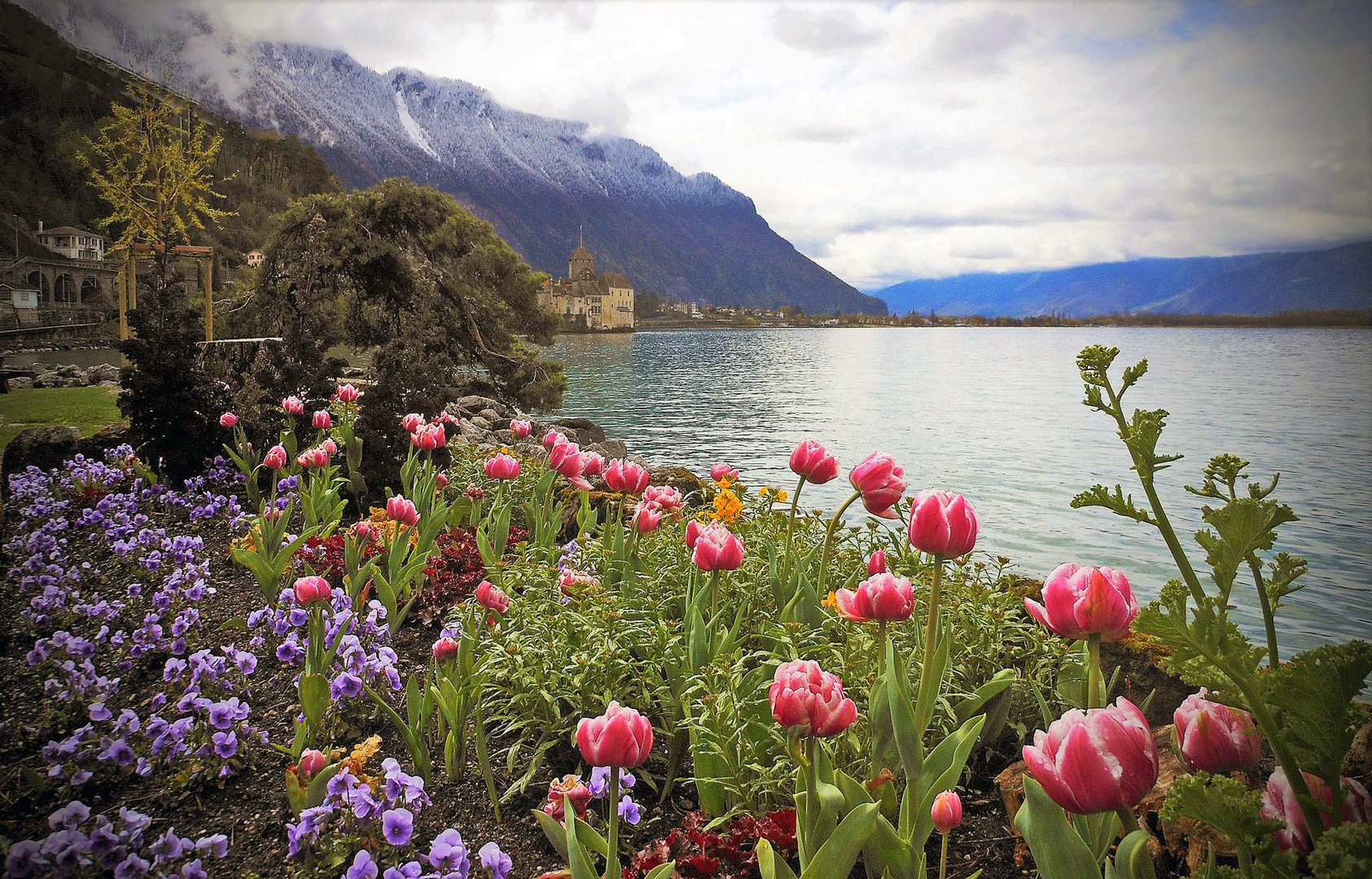 Frühling am Lac Leman