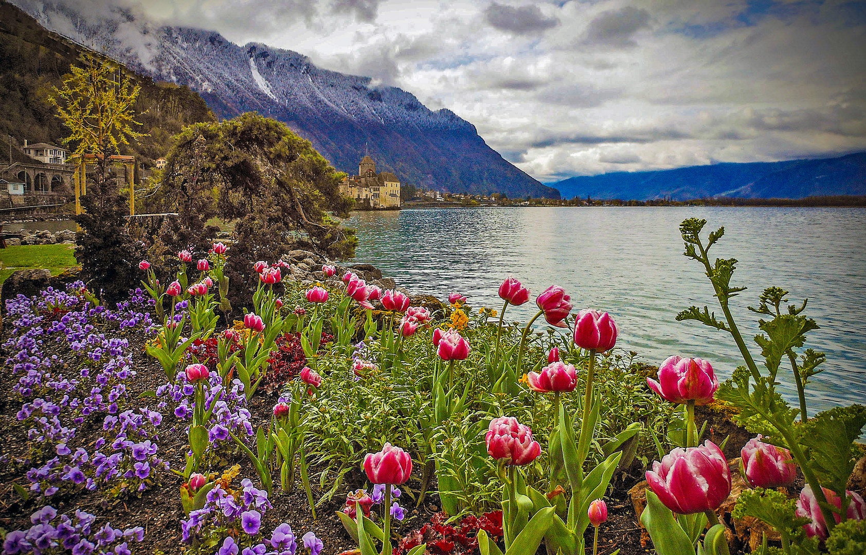 Frühling am Lac Leman