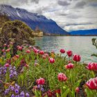 Frühling am Lac Leman