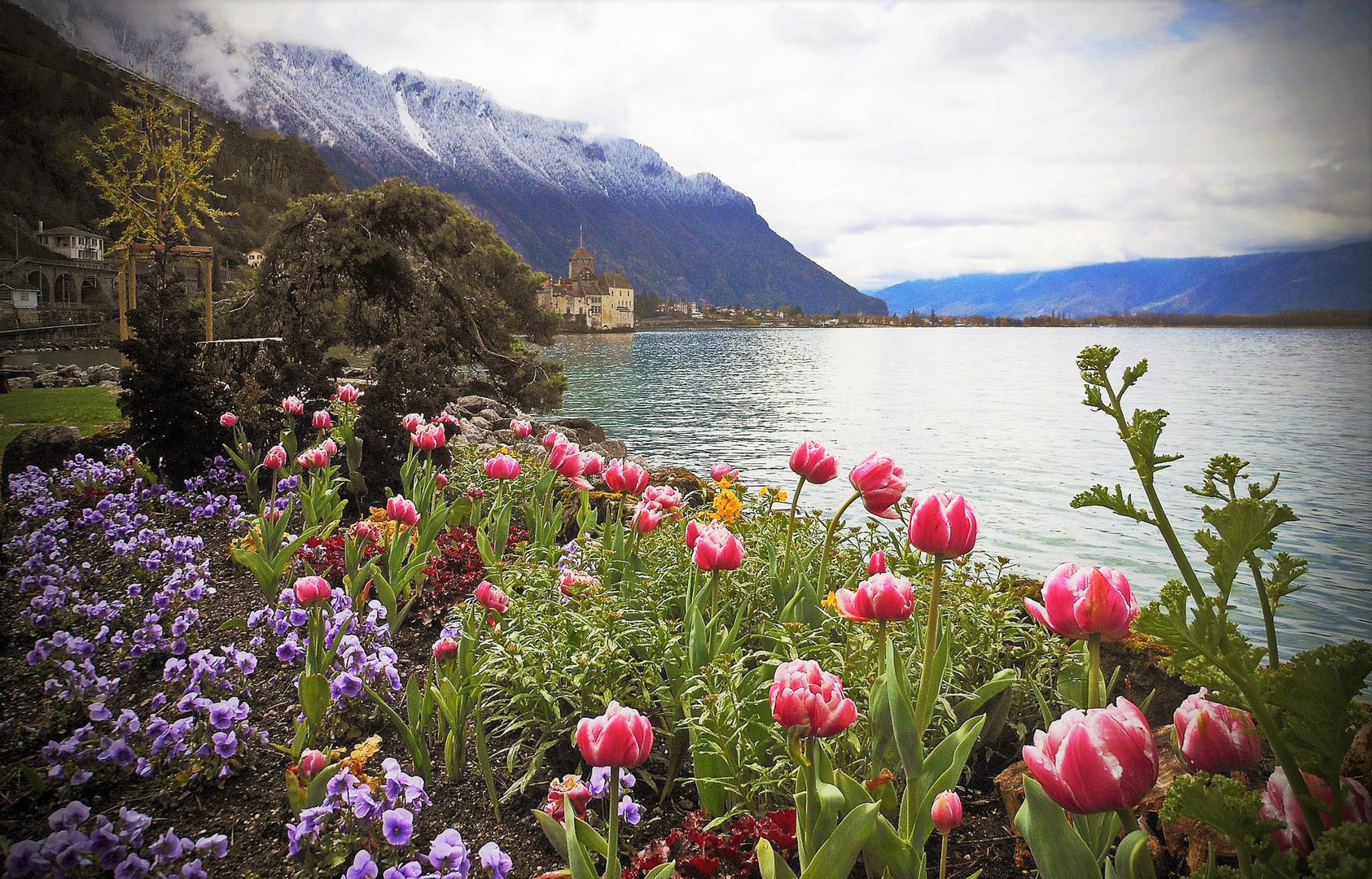 Frühling am Lac Léman