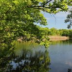 Frühling am Lagesteich