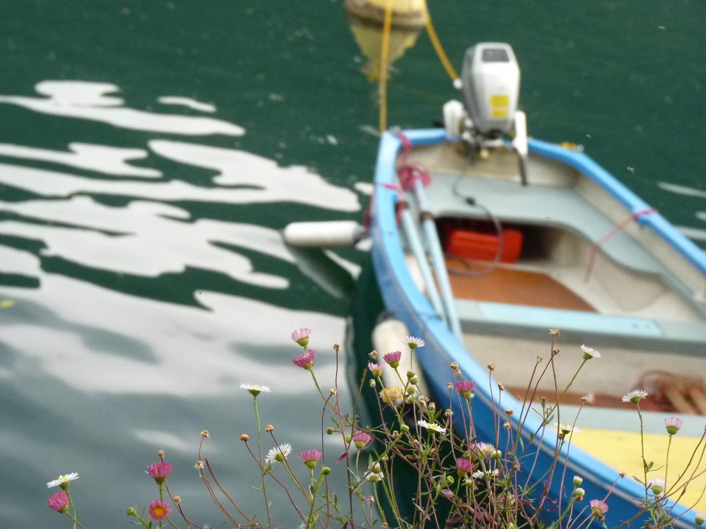 Frühling am Lago