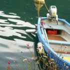 Frühling am Lago