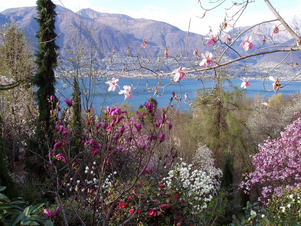 Frühling am Lago Maggiore