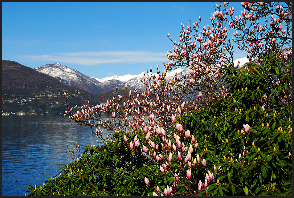 Frühling am Lago Maggiore