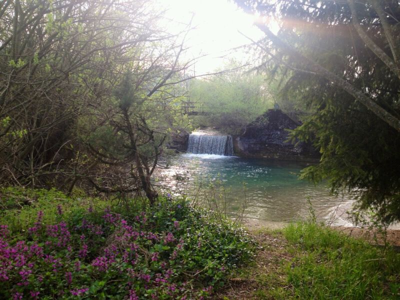 Frühling am Lande