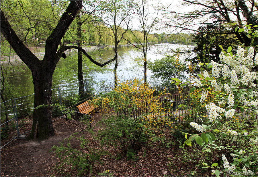 Frühling am Landwehrkanal