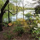 Frühling am Landwehrkanal