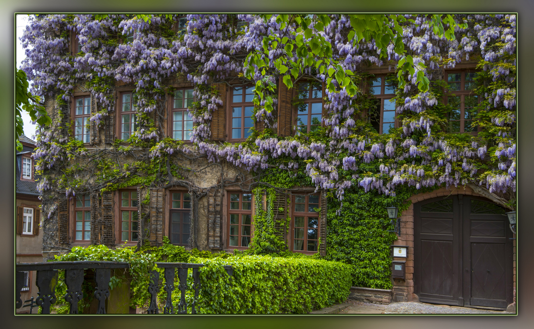 Frühling am Laublacher Schloss 5