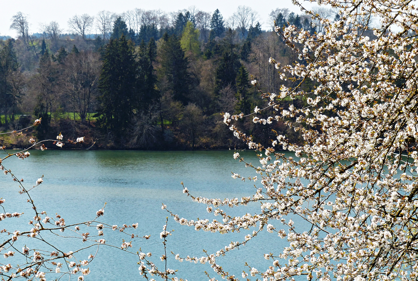 Frühling am Lech