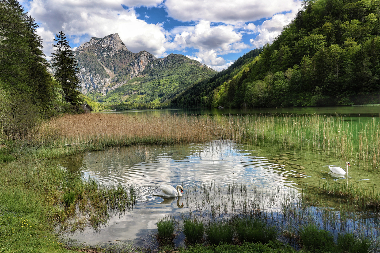 Frühling am Leopoldsteinersee