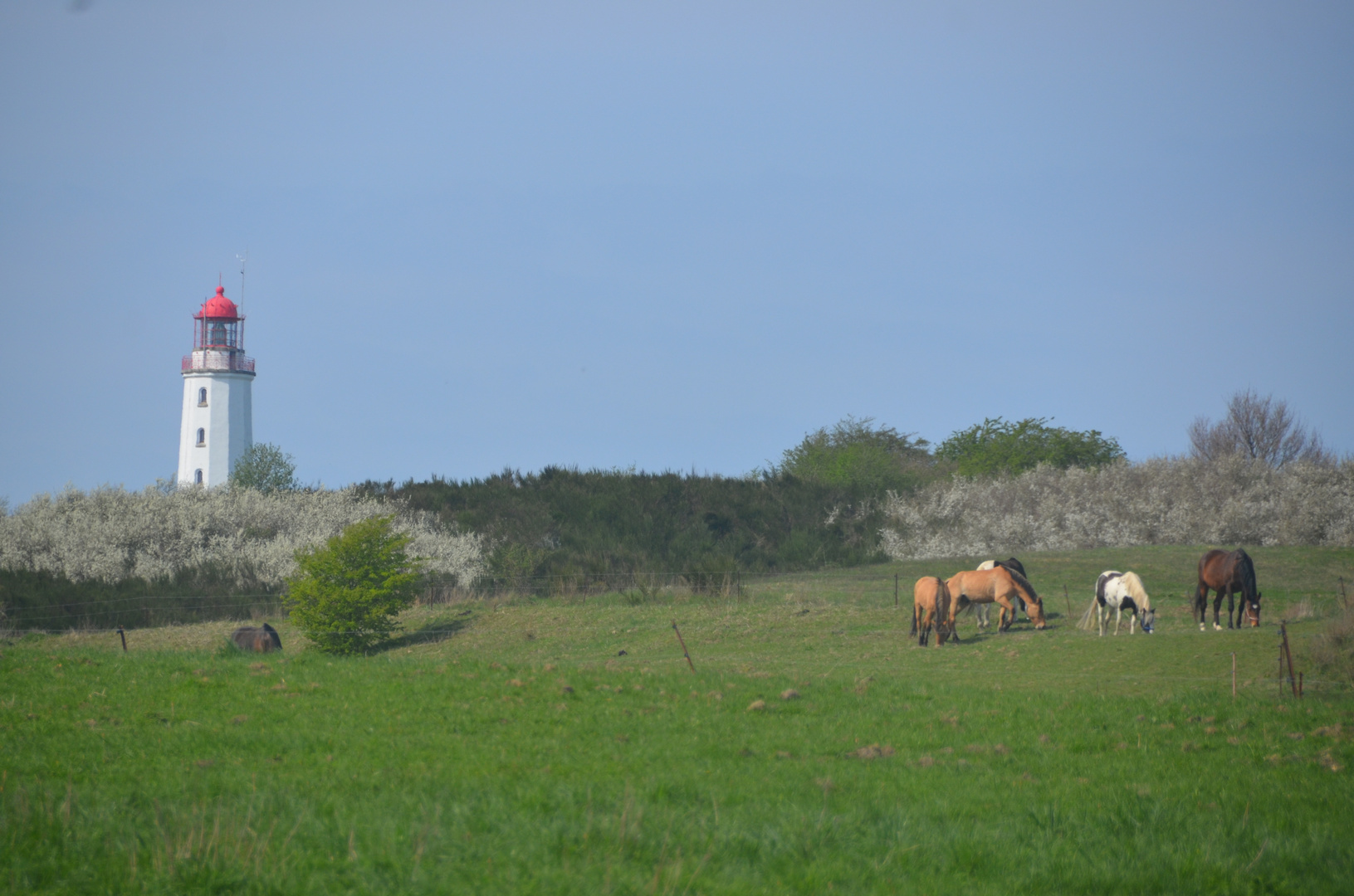 Frühling am leuchtturm