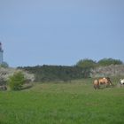 Frühling am leuchtturm