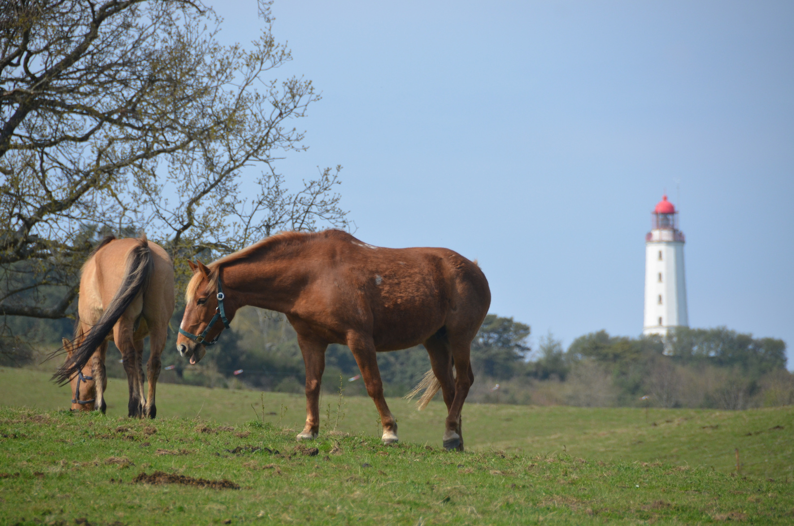 Frühling am leuchtturm