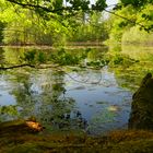 Frühling am Leyenweiher