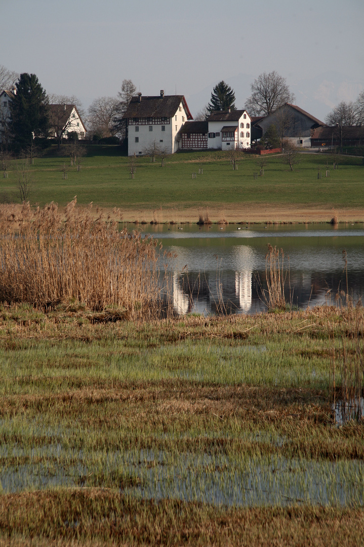 Frühling am Lützelsee