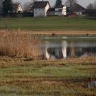 Frühling am Lützelsee