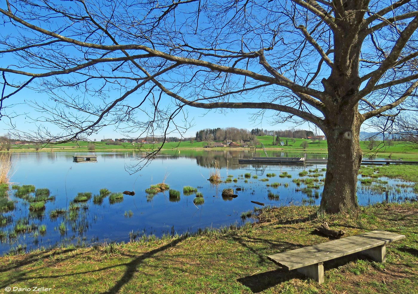 Frühling am Lützelsee