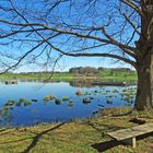 Frühling am Lützelsee