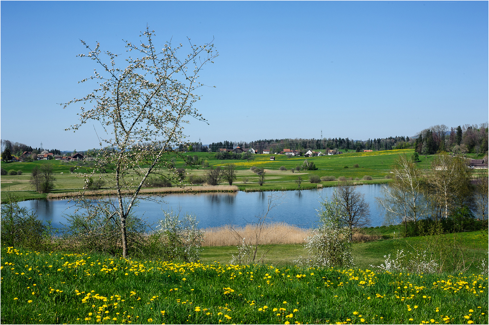 Frühling am Lützelsee