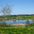 Frühling am Lützelsee