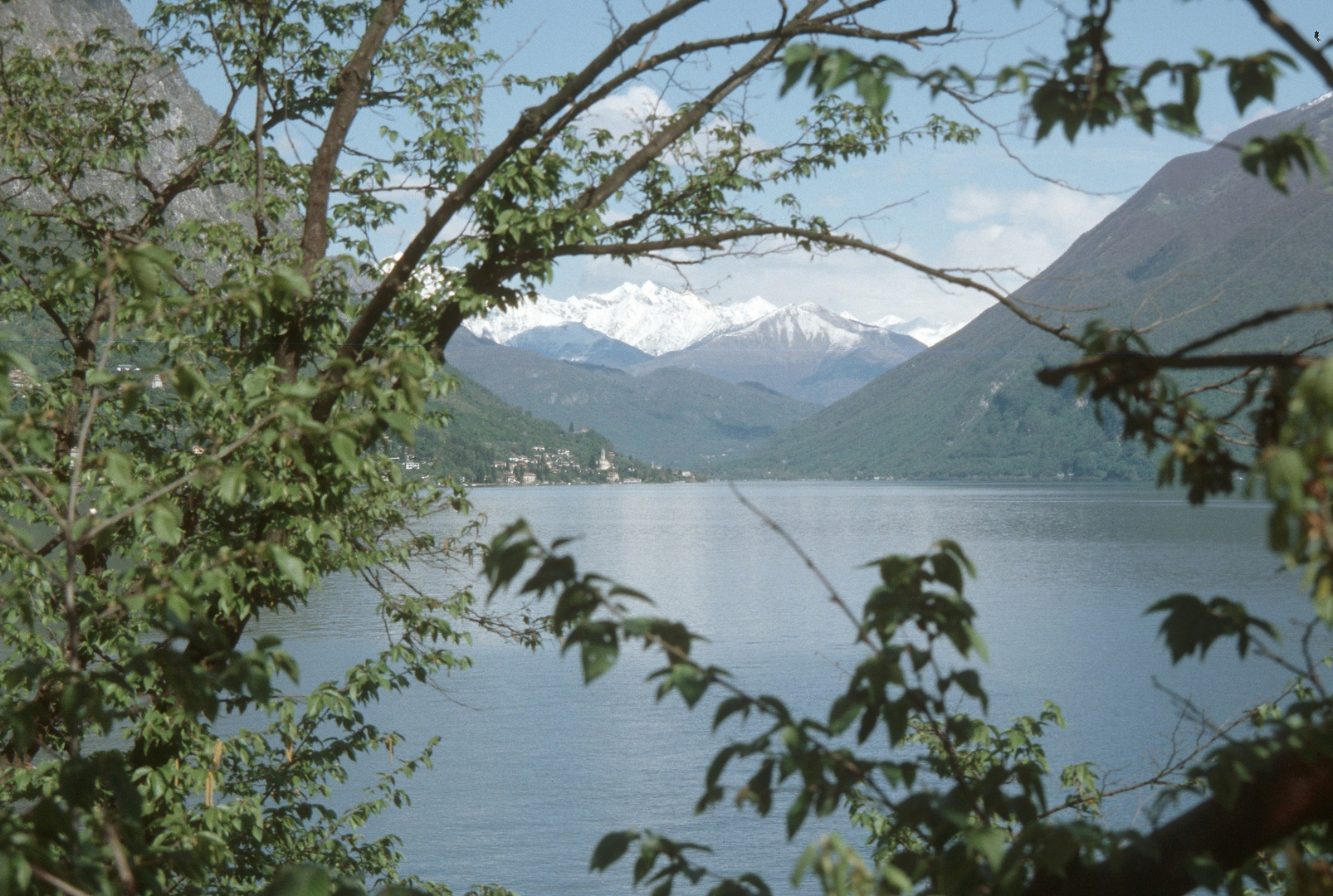 Frühling am Luganersee (Ticino)