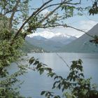 Frühling am Luganersee (Ticino)