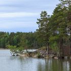 Frühling am Mälaren