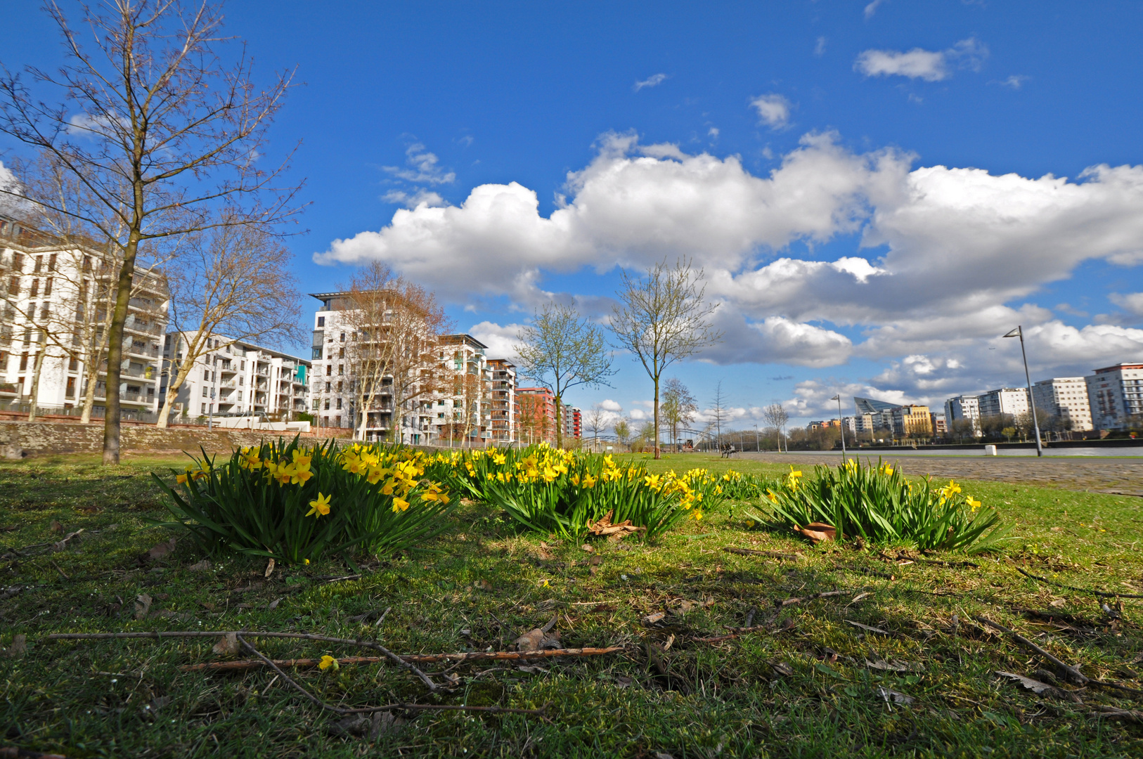 Frühling am Main