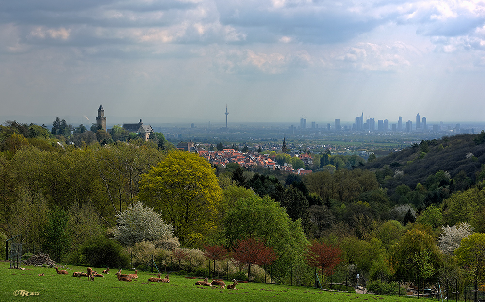 Frühling am Malerblick