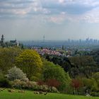 Frühling am Malerblick