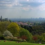 Frühling am Malerblick