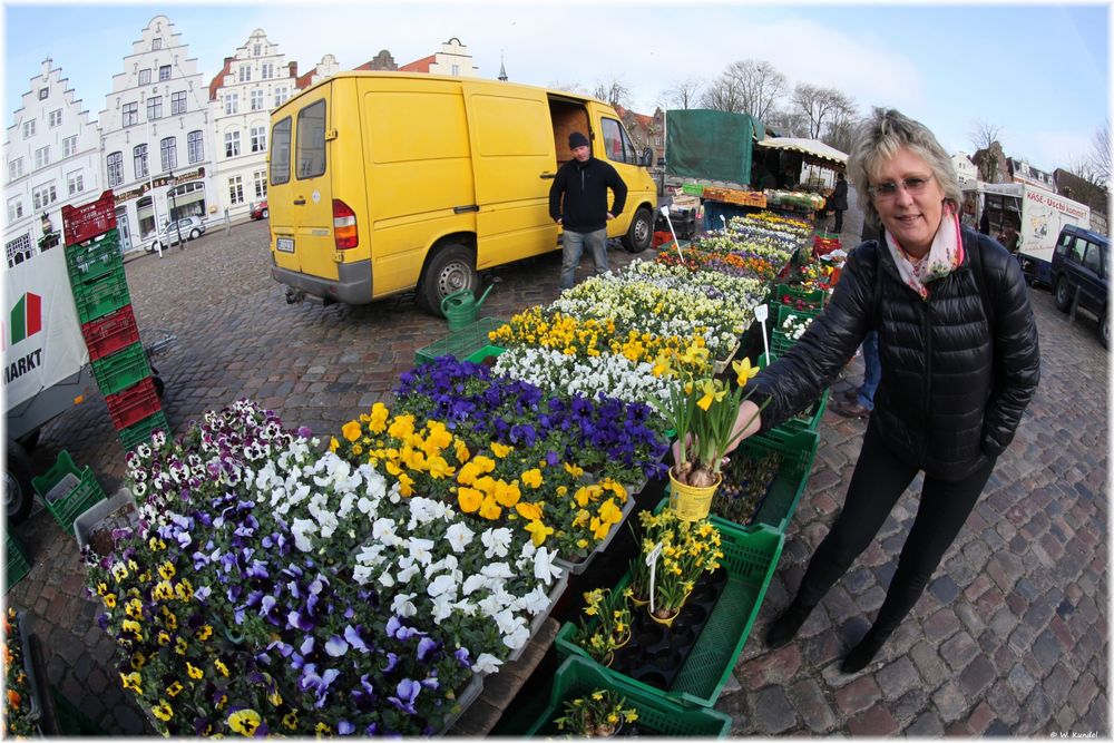 Frühling am Markt