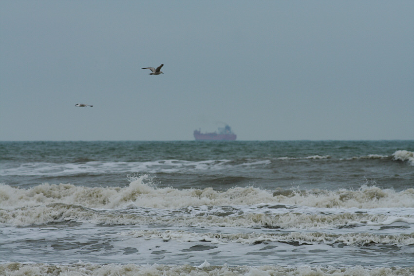 Frühling am Meer (1)