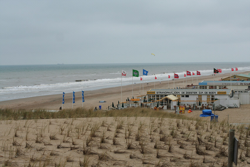 Frühling am Meer (4)