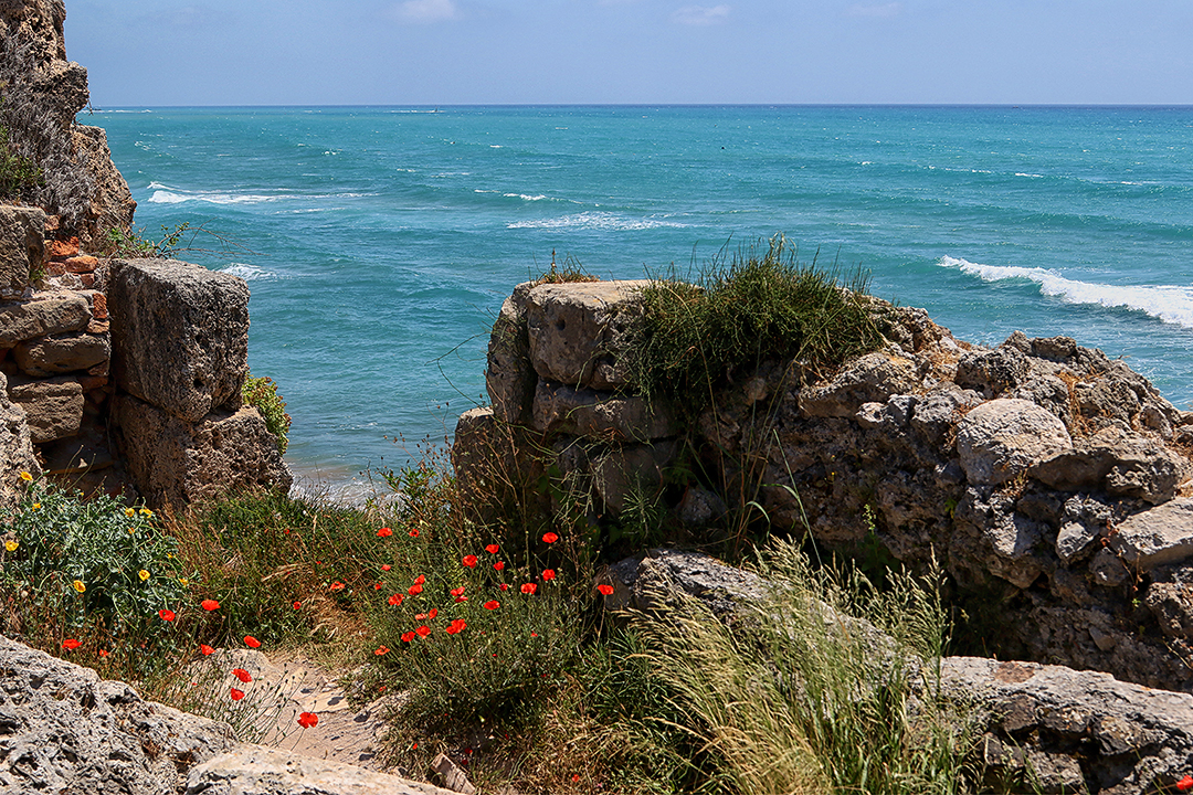 Frühling am Meer