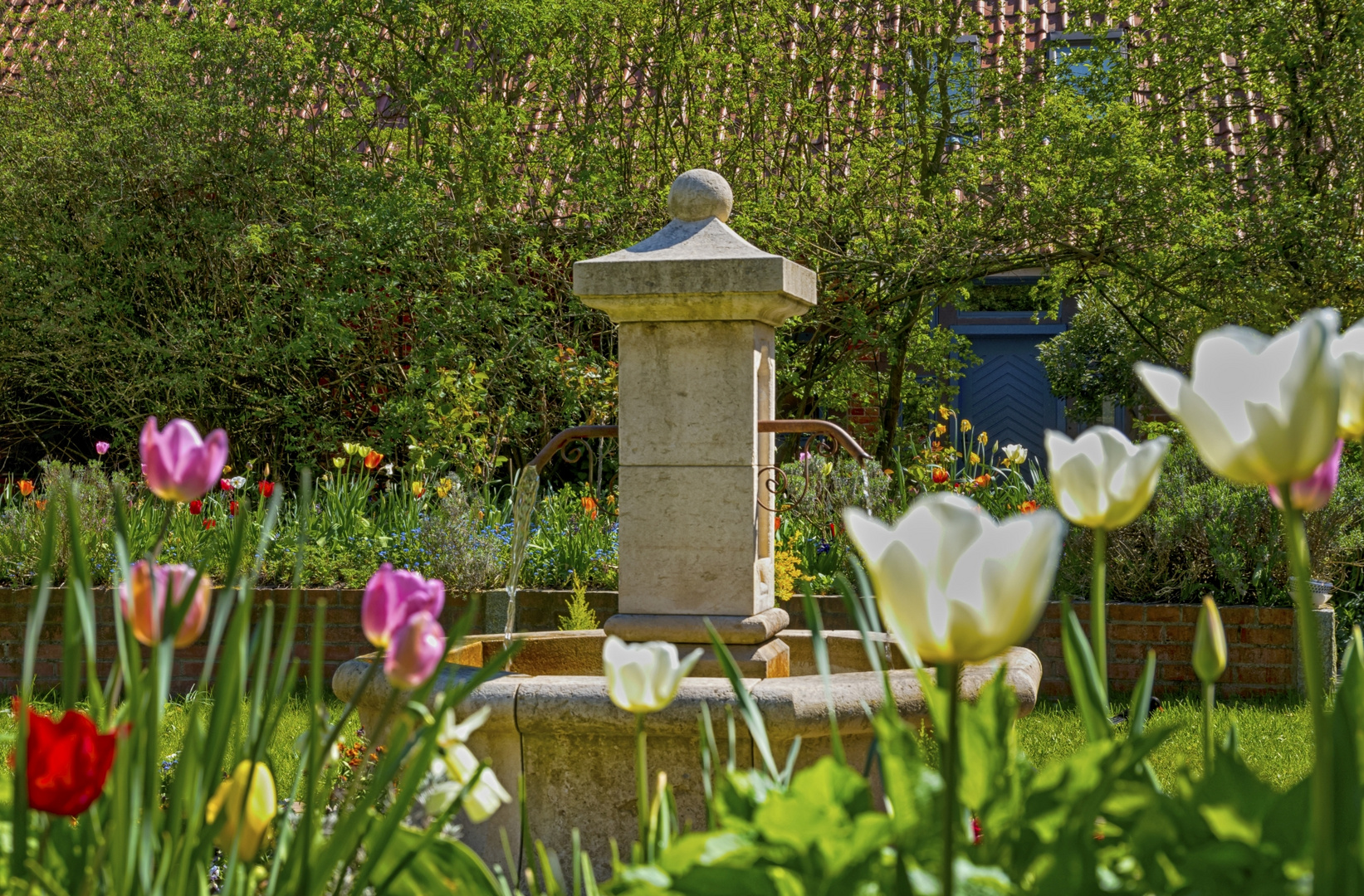 Frühling am Michaelshof Sammatz