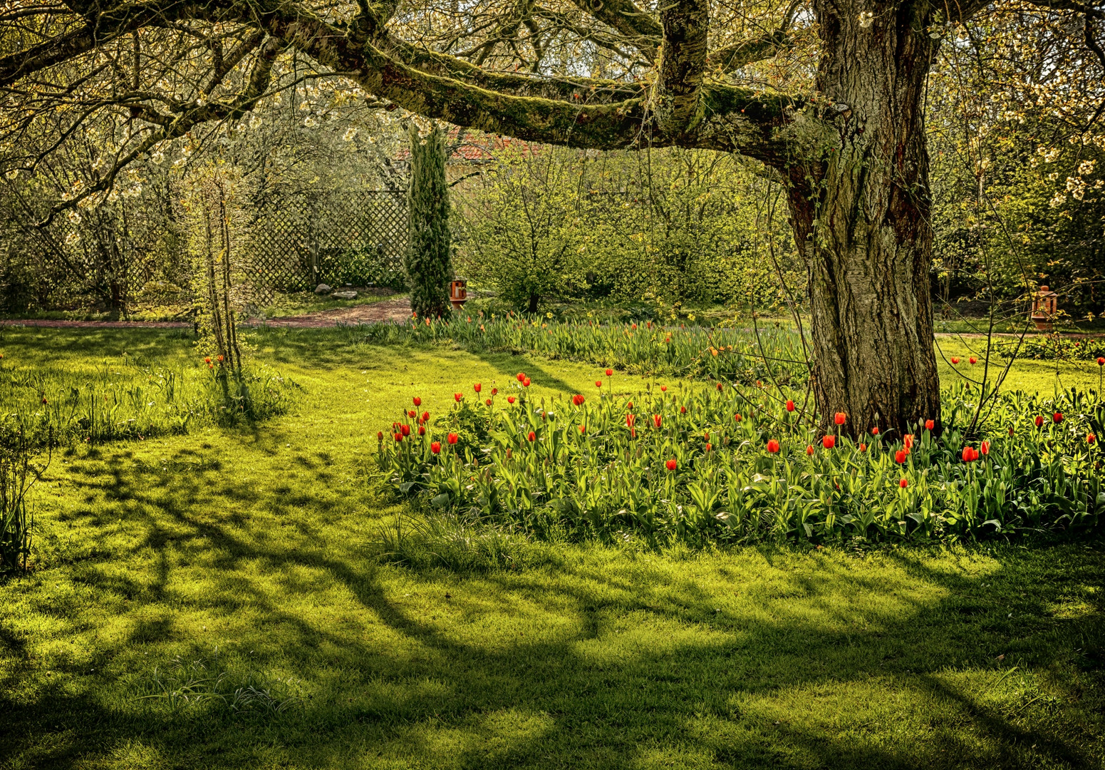 Frühling am Michaelshof Sammatz