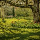 Frühling am Michaelshof Sammatz