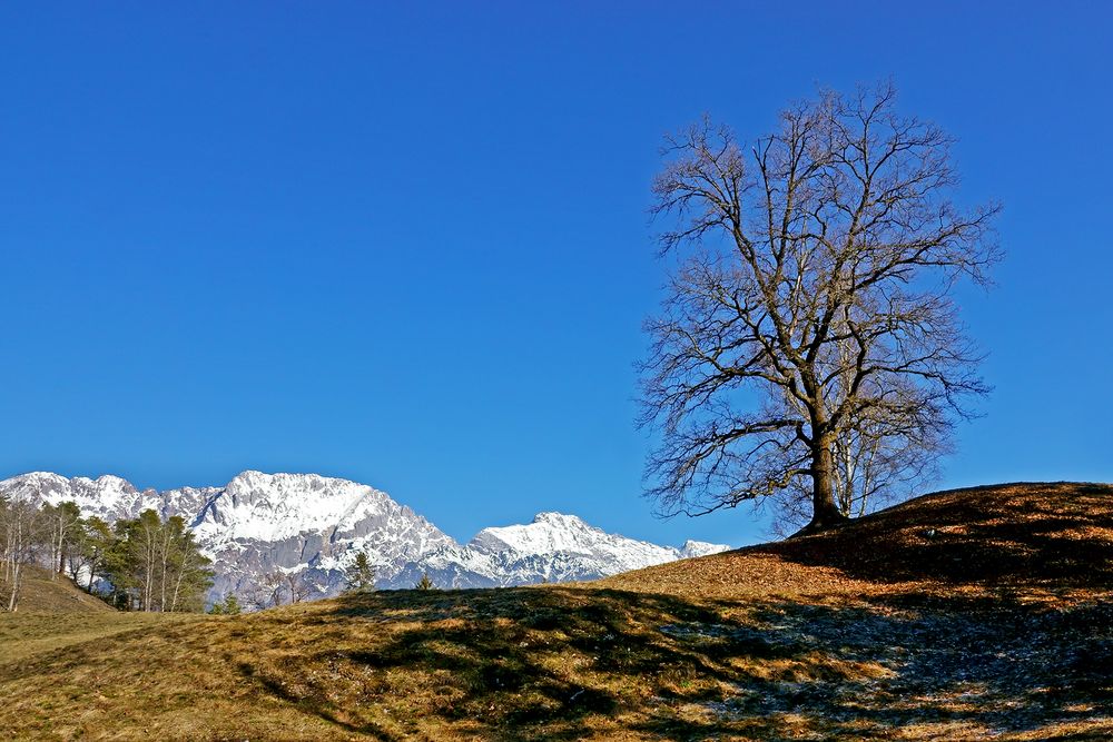 Frühling am Mieminger Plateau