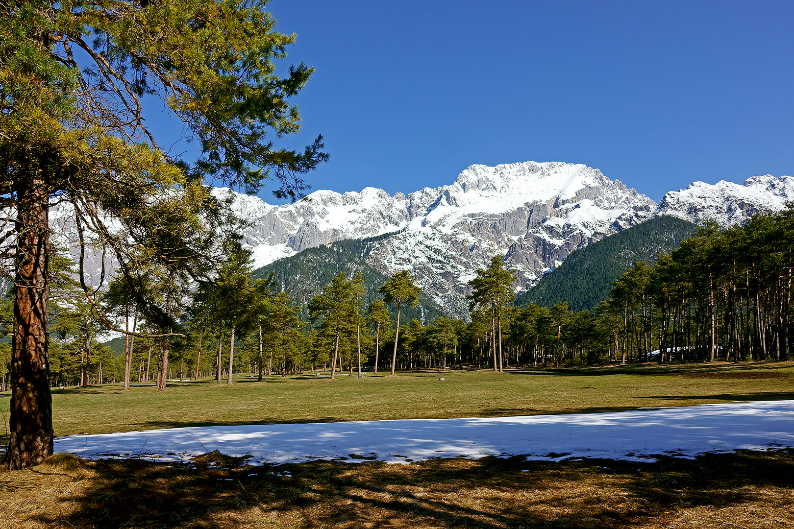 Frühling am Mieminger Plateau