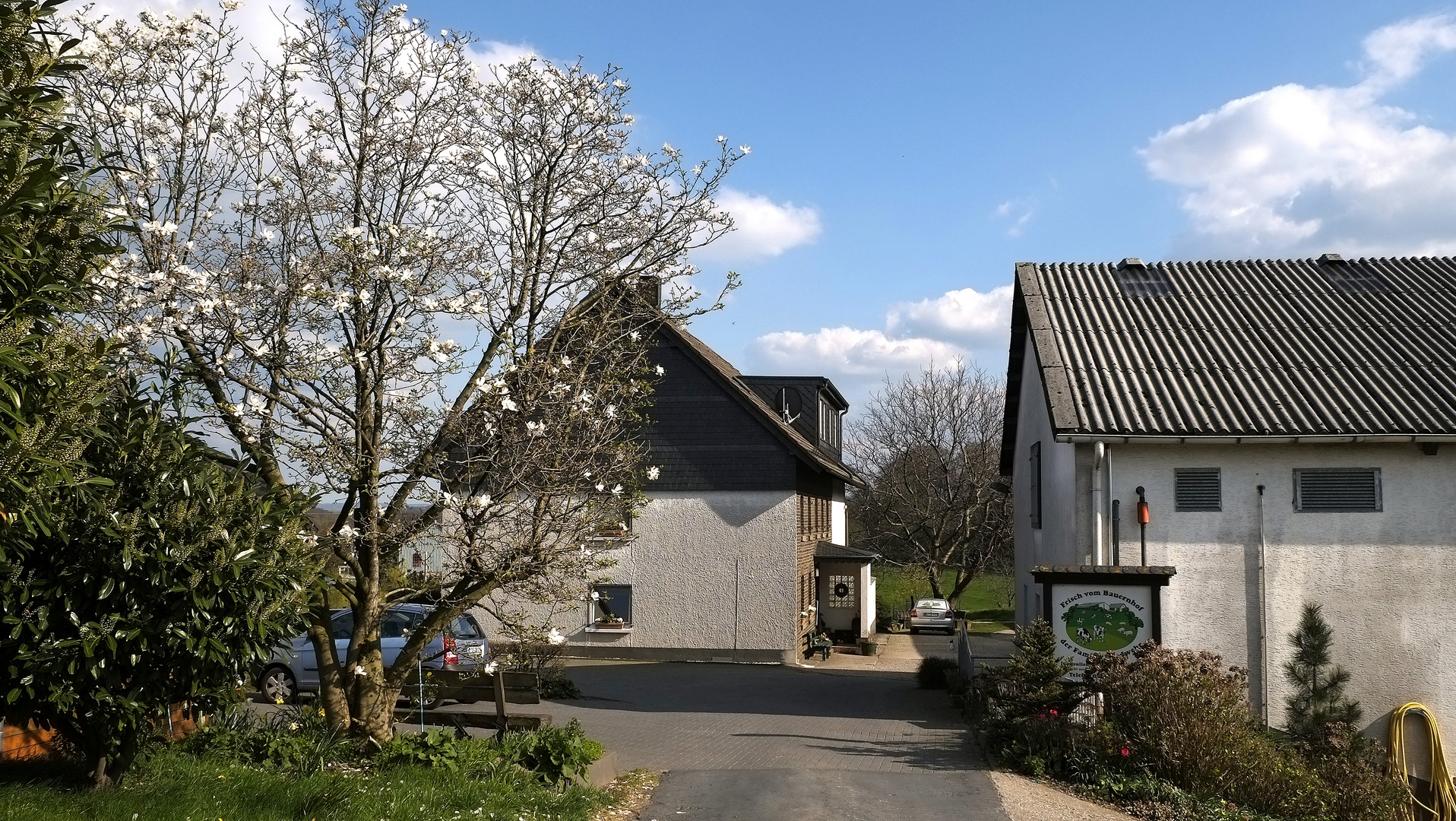 Frühling am Milchhof