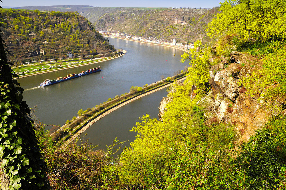 Frühling am Mittelrhein.