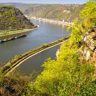 Frühling am Mittelrhein.