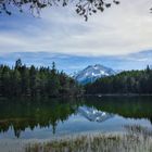 Frühling am Möserer See